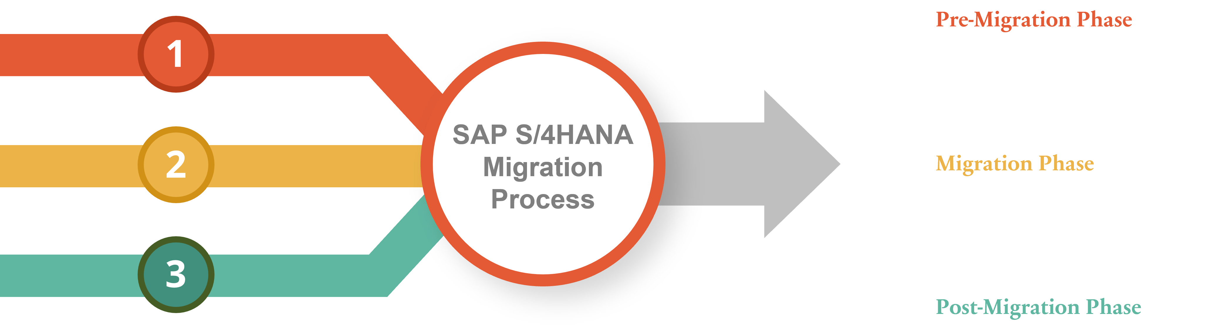 Revolutionize Your Business With SAP RISE A Comprehensive Guide To S